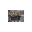 Poétic Set jardinière BABY ROMEO, (L)280 mm, granite